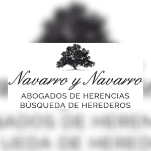 navarroynavarro-es.png