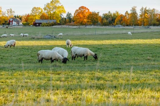 Abogados en Asesor.Legal | Asesoría legal para Abogados agrarios en Aldaia para pleitos por expropiación Abogados en Asesor.Legal abogados agrarios en aldaia para pleitos por expropiacion 5