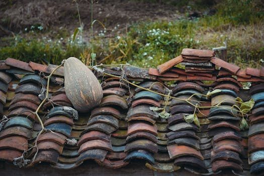 Abogados en Asesor.Legal abogados agrarios en burjassot para litigios sobre fincas rusticas 4