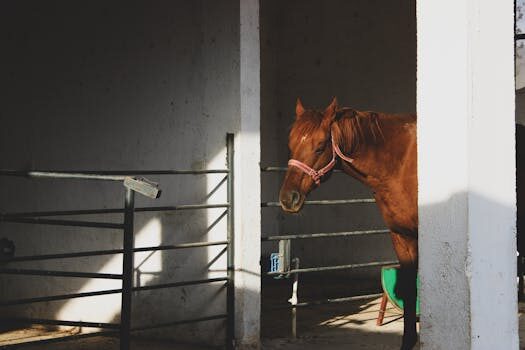 Abogados en Asesor.Legal | Asesoría legal para Abogados agrarios en Valencia especializados en arrendamientos rústicos y contratos de aparcería Abogados en Asesor.Legal abogados agrarios en valencia especializados en arrendamientos rusticos y contratos de aparceria 2