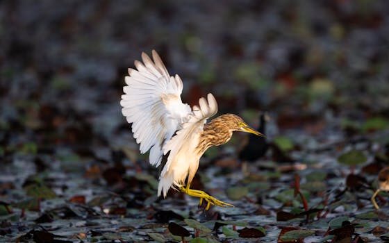 Abogados en Asesor.Legal | Asesoría legal para Abogados agrarios en Xirivella para conflictos de lindes Abogados en Asesor.Legal abogados agrarios en xirivella para conflictos de lindes 5