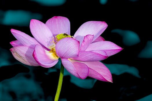 Abogados en Asesor.Legal | Asesoría legal para Abogados de aguas en Gandía para conflictos por pozos comunitarios Abogados en Asesor.Legal abogados de aguas en gandia para conflictos por pozos comunitarios 2