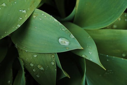 Abogados en Asesor.Legal | Asesoría legal para Abogados de aguas en Mislata para litigios hidráulicos Abogados en Asesor.Legal abogados de aguas en mislata para litigios hidraulicos 5