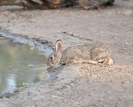 Abogados en Asesor.Legal | Asesoría legal para Abogados de aguas en Valencia para conflictos con concesiones públicas Abogados en Asesor.Legal abogados de aguas en valencia para conflictos con concesiones publicas 1