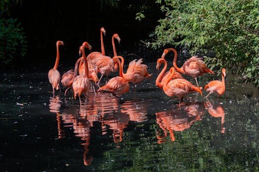 Abogados en Asesor.Legal | Asesoría legal para Abogados de aguas en Valencia para defensa en expedientes sancionadores de la CHJ Abogados en Asesor.Legal abogados de aguas en valencia para defensa en expedientes sancionadores de la chj 1