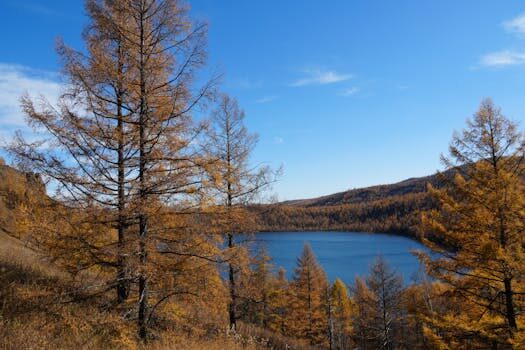 Abogados en Asesor.Legal | Asesoría legal para Abogados de aguas en Valencia para defensa en expedientes sancionadores de la CHJ Abogados en Asesor.Legal abogados de aguas en valencia para defensa en expedientes sancionadores de la chj 4