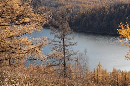 Abogados en Asesor.Legal | Asesoría legal para Abogados de aguas en Valencia para defensa en expedientes sancionadores de la CHJ Abogados en Asesor.Legal abogados de aguas en valencia para defensa en expedientes sancionadores de la chj 5