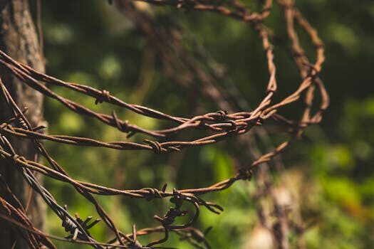 Abogados en Asesor.Legal abogados economico penales en burjassot para defensa en delitos contables 3