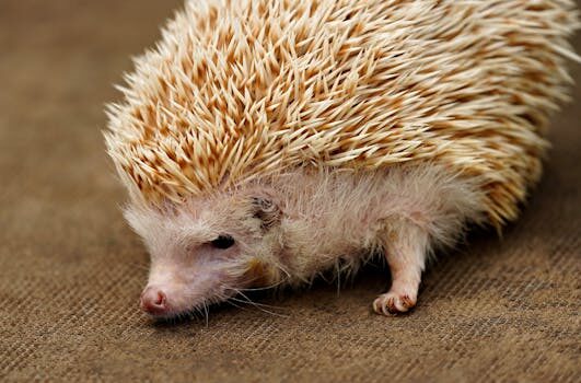 Abogados en Asesor.Legal abogados economico penales en burjassot para defensa en delitos contables 4