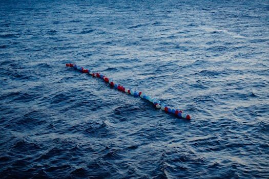 Abogados en Asesor.Legal | Asesoría legal para Abogados marítimos y portuarios en Valencia para litigios sobre concesiones en el puerto Abogados en Asesor.Legal abogados maritimos y portuarios en valencia para litigios sobre concesiones en el puerto 2