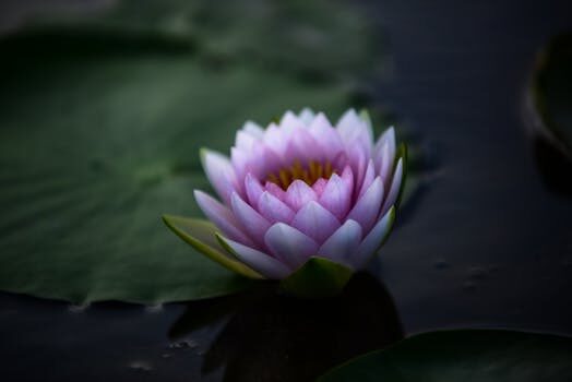 Abogados en Asesor.Legal | Asesoría legal para Bufetes de abogados de aguas en Manises para litigios de regadío Abogados en Asesor.Legal bufetes de abogados de aguas en manises para litigios de regadio 5