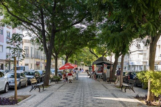 Abogados en Asesor.Legal | Asesoría legal para Bufetes urbanísticos en Valencia para conflictos de suelo no urbanizable Abogados en Asesor.Legal bufetes urbanisticos en valencia para conflictos de suelo no urbanizable 3