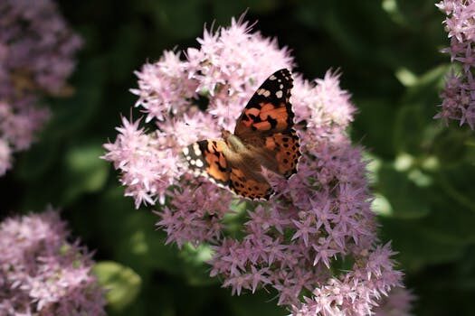 Abogados en Asesor.Legal como ayudan los abogados de derecho medioambiental en valencia en denuncias por contaminacion industrial 2