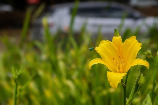 Abogados en Asesor.Legal como ayudan los abogados de derecho medioambiental en valencia en denuncias por contaminacion industrial 4