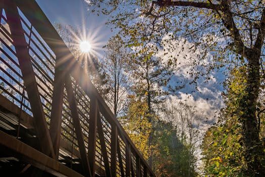 Abogados en Asesor.Legal como ayudan los abogados de derecho medioambiental en valencia en denuncias por contaminacion industrial 5