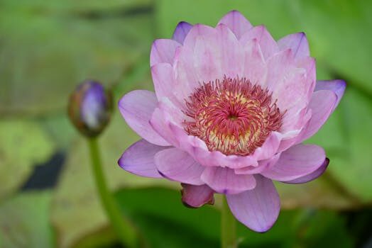 Abogados en Asesor.Legal | Asesoría legal para Despachos de abogados de aguas en Valencia para caducidad de concesiones Abogados en Asesor.Legal despachos de abogados de aguas en valencia para caducidad de concesiones 3