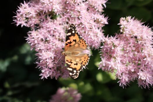 Abogados en Asesor.Legal errores frecuentes en expedientes medioambientales que evitan los abogados en valencia 5