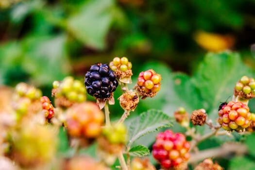 Abogados en Asesor.Legal | Asesoría legal para Los mejores abogados agrarios en Valencia para pleitos sobre servidumbres de paso Abogados en Asesor.Legal los mejores abogados agrarios en valencia para pleitos sobre servidumbres de paso 3