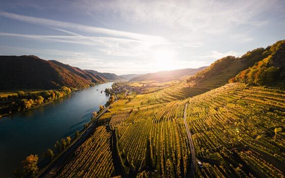 Abogados en Asesor.Legal | Asesoría legal para Los mejores abogados agrarios en Valencia para reclamaciones de seguros agrícolas Abogados en Asesor.Legal los mejores abogados agrarios en valencia para reclamaciones de seguros agricolas 3