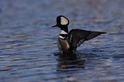Abogados en Asesor.Legal | Asesoría legal para Los mejores abogados de aguas en Burjassot para concesiones comunitarias Abogados en Asesor.Legal los mejores abogados de aguas en burjassot para concesiones comunitarias 3