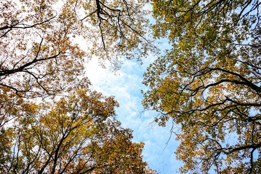 Abogados en Asesor.Legal los mejores bufetes medioambientales en valencia para denuncias por vertidos ilegales 3