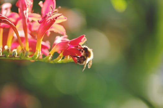 Abogados en Asesor.Legal los mejores bufetes medioambientales en valencia para denuncias por vertidos ilegales 4