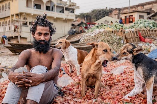 Abogados en Asesor.Legal abogada especialista en derecho de los animales en valencia 1