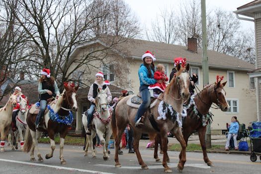 Abogados en Asesor.Legal abogada especialista en derecho de los animales en valencia 3