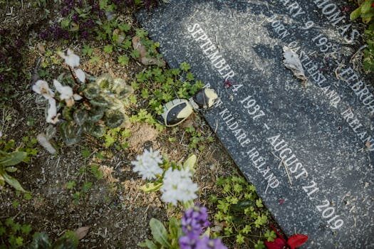 Abogados en Asesor.Legal abogado de herencias en salamanca reparto de bienes y legitimas 3