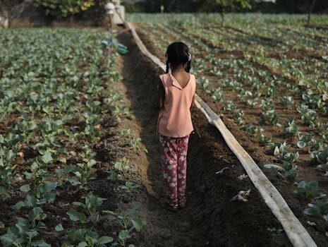 Abogados en Asesor.Legal abogado inmobiliario experto en alquileres y contratos de arras 1
