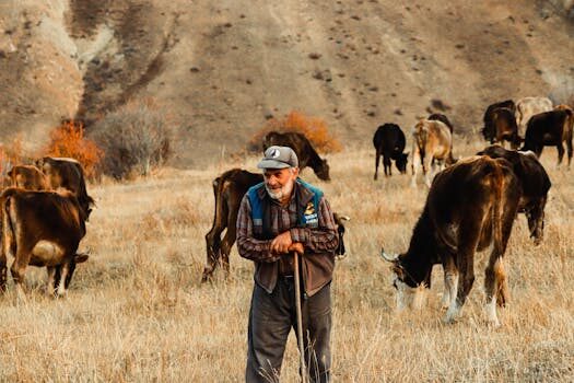 Abogados en Asesor.Legal | Asesoría legal para Abogado laboralista en Toledo: especialistas en despidos laborales Abogados en Asesor.Legal abogado laboralista en toledo especialistas en despidos laborales 1