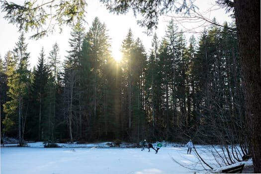 Abogados en Asesor.Legal abogados deportivos en valencia para contratos de patrocinio y marketing 1