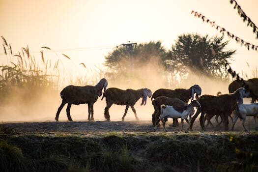 Abogados en Asesor.Legal | Asesoría legal para Abogados derecho bancario y segunda oportunidad en Barcelona y Sabadell Abogados en Asesor.Legal abogados derecho bancario abogados bancario segunda oportunidad barcelona sabadell 2