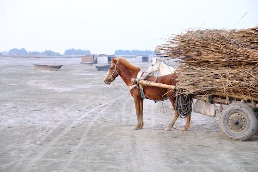 Abogados en Asesor.Legal abogados derecho laboral abogados despidos erte ere zamora benavente puebla de sanabria toro villalpando 2