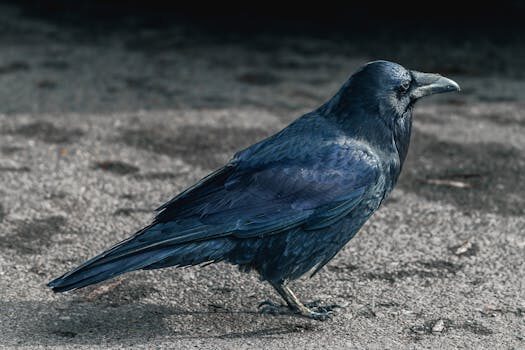 Abogados en Asesor.Legal abogados derecho urbanistico abogados urbanistas y medioambiental cartagena 3