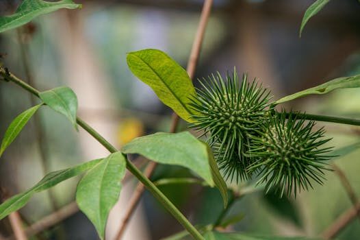Abogados en Asesor.Legal abogados en valencia especializados en medioambiente para conflictos de licencias urbanisticas 1