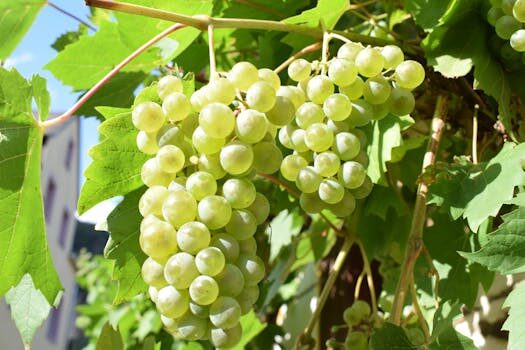 Abogados en Asesor.Legal abogados especialistas en derecho de agrario y ganadero de unaes 2