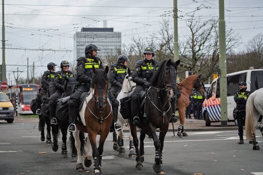 Abogados en Asesor.Legal abogados especialistas en derecho internacional de unaes 3