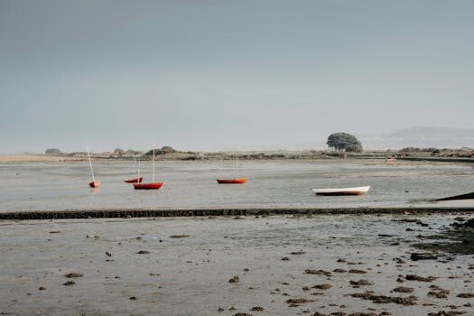 Abogados en Asesor.Legal | Asesoría legal para Abogados especializados en alquiler vacacional y fraudes Abogados en Asesor.Legal abogados especializados en alquiler vacacional y fraudes 3