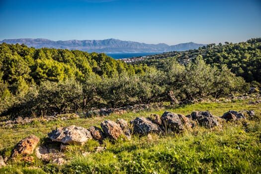 Abogados en Asesor.Legal | Asesoría legal para Abogados especializados en alquiler vacacional y fraudes Abogados en Asesor.Legal abogados especializados en alquiler vacacional y fraudes 4