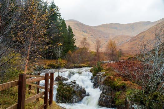 Abogados en Asesor.Legal | Asesoría legal para Abogados especializados en plataformas de streaming Abogados en Asesor.Legal abogados especializados en plataformas de streaming 2