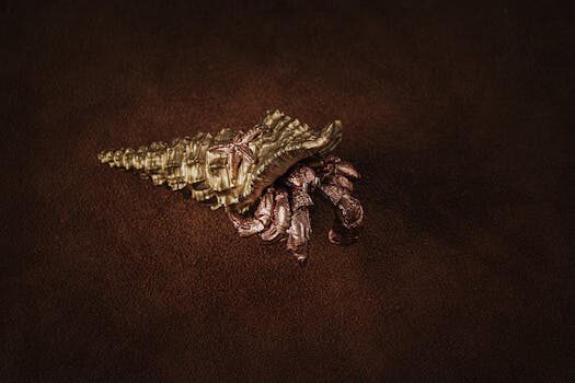 Abogados en Asesor.Legal | Asesoría legal para Abogados especializados en reclamaciones por decoración Abogados en Asesor.Legal abogados especializados en reclamaciones por decoracion 1