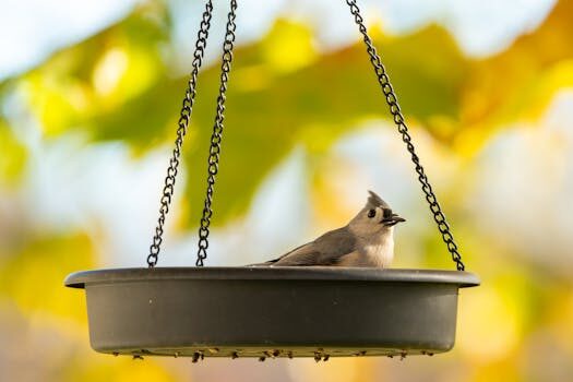 Abogados en Asesor.Legal | Asesoría legal para Abogados especializados en reclamaciones por decoración Abogados en Asesor.Legal abogados especializados en reclamaciones por decoracion 5