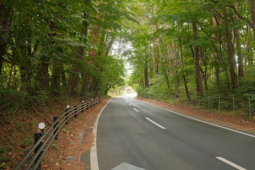 Abogados en Asesor.Legal | Asesoría legal para Abogados especializados en segunda oportunidad para deudores Abogados en Asesor.Legal abogados especializados en segunda oportunidad para deudores 1