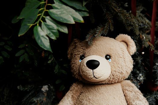 Abogados en Asesor.Legal | Asesoría legal para Abogados expertos en consumo animal y productos defectuosos Abogados en Asesor.Legal abogados expertos en consumo animal y productos defectuosos 4