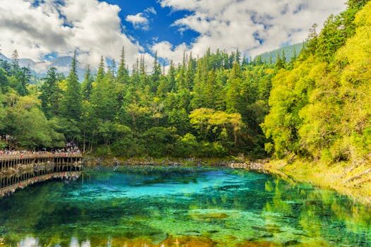 Abogados en Asesor.Legal | Asesoría legal para Abogados expertos en protección de datos financieros Abogados en Asesor.Legal abogados expertos en proteccion de datos financieros 2