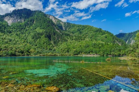 Abogados en Asesor.Legal | Asesoría legal para Abogados expertos en protección de datos financieros Abogados en Asesor.Legal abogados expertos en proteccion de datos financieros 3