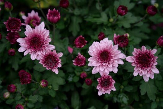 Abogados en Asesor.Legal | Asesoría legal para Abogados expertos en reclamaciones alimentarias Abogados en Asesor.Legal abogados expertos en reclamaciones alimentarias 2