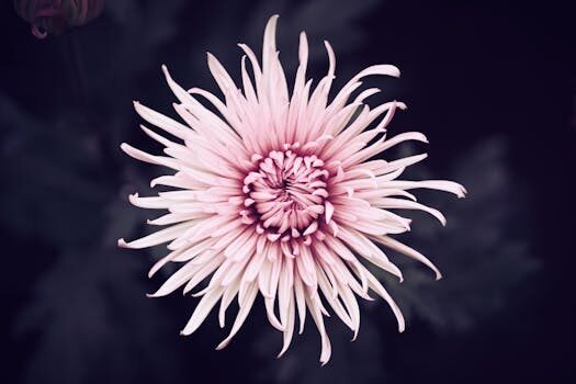 Abogados en Asesor.Legal | Asesoría legal para Abogados expertos en reclamaciones alimentarias Abogados en Asesor.Legal abogados expertos en reclamaciones alimentarias 3