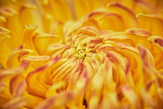 Abogados en Asesor.Legal | Asesoría legal para Abogados expertos en reclamaciones alimentarias Abogados en Asesor.Legal abogados expertos en reclamaciones alimentarias 4